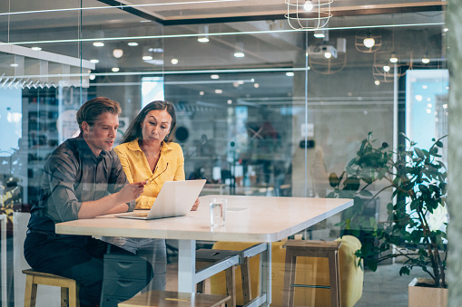 Shot of a two confident business persons sitting in board room at the office. Businessman and businesswoman in meeting using laptop and discussing business strategy. Business coworkers working together in the office. The view is through glass.