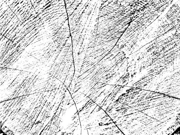 Vector illustration of Raw and organic oak grunge texture with cracks. Monochrome background from an old sawn log