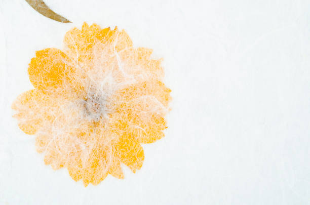 o fundo de papel reciclado e flor reciclado feito à mão. - paper mulberry japanese culture art - fotografias e filmes do acervo