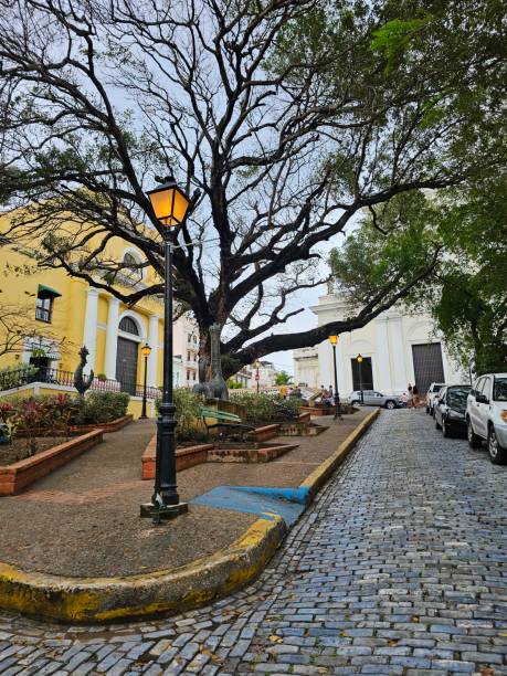 istock Street in Old San Juan 1480988193