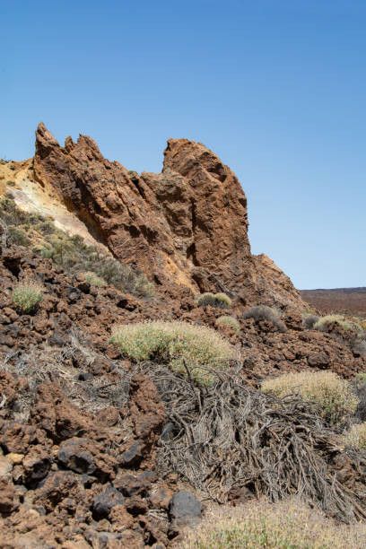 istock Fantastic rock formations in El Teide National Park on Tenerife, Spain 1480988236