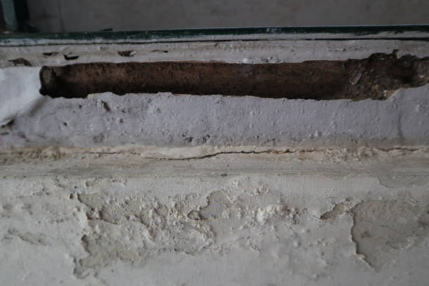 istock Panorama of a concrete wall with old cracked flaking paint. Weathered rough painted surface with patterns of cracks and peeling 1480988247