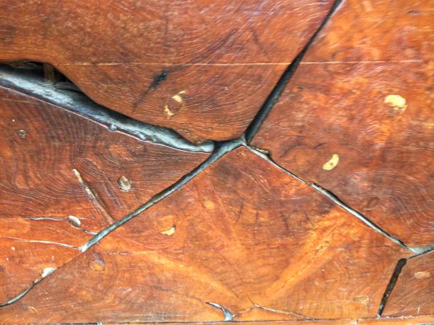 istock photo of a brown tree surface. 1480989301