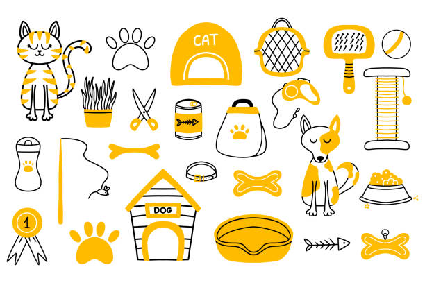 illustrations, cliparts, dessins animés et icônes de ensemble vectoriel pour animalerie. collection pour animaux de compagnie dans le style griffonnage. accessoires pour animaux domestiques. nourriture, griffoir, patte, chien, chat. - grooming product