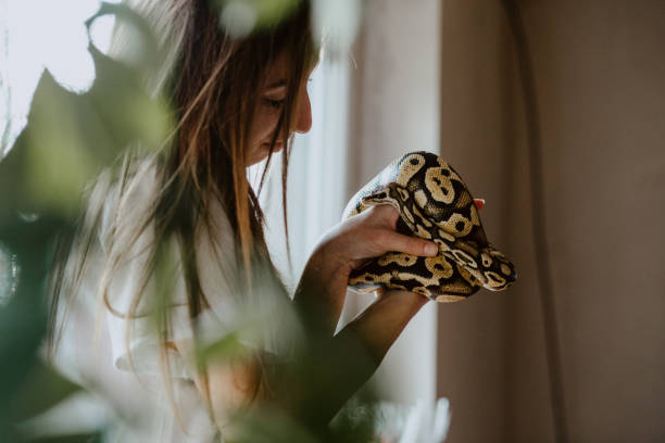 istock Young woman holding her pet snake 1480994337