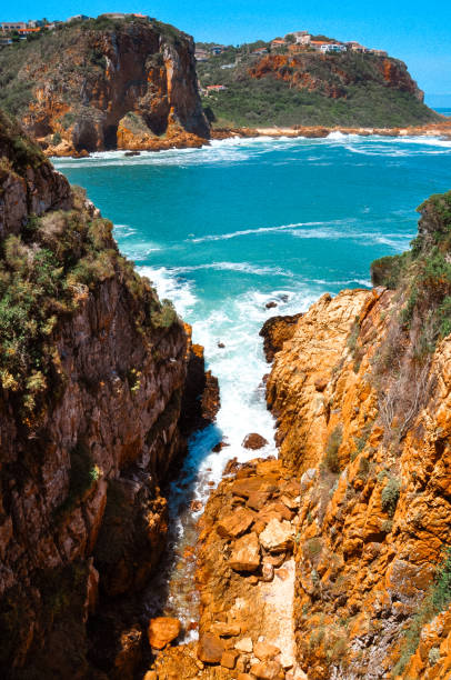 istock The Garden Route 1480995096
