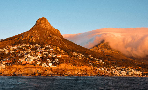 istock Cape Town, South Africa 1480995102