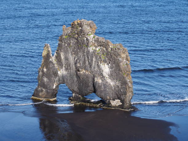 istock Iceland seashore Hvitserkur 1480996725