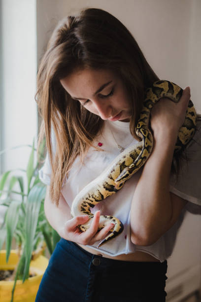 istock Young woman holding her pet snake 1480997561