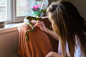 Pet snake on a couch