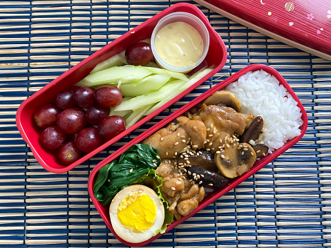 Kid school lunch bento box set of sesame chicken, rice, egg, cucumber and grapes