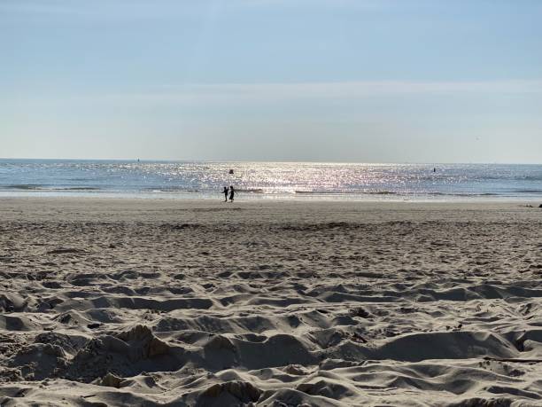 istock Two children on the sandy beach with sunshine and blue sky 1480997756