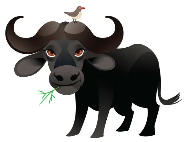 Vector illustration of Cape Buffalo and Yellow Billed Oxpecker