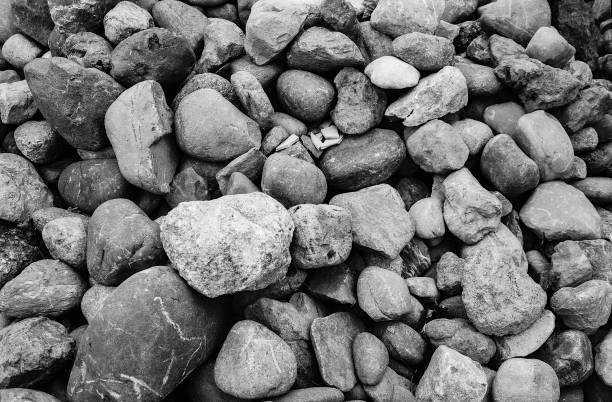 seixos e pedras no leito do rio, filmados com filme analógico preto e branco - macro film material rough macro - fotografias e filmes do acervo