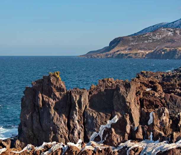 istock Basalt rocks of the Kuril Islands 1481005787