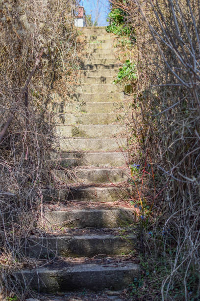 istock Old stone stairs, stairs up, close-up view. 1481007091