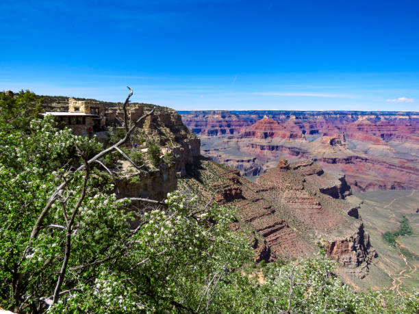 istock Mary Colter's Lookout Studio Overlooking Grand Canyon 1481009397