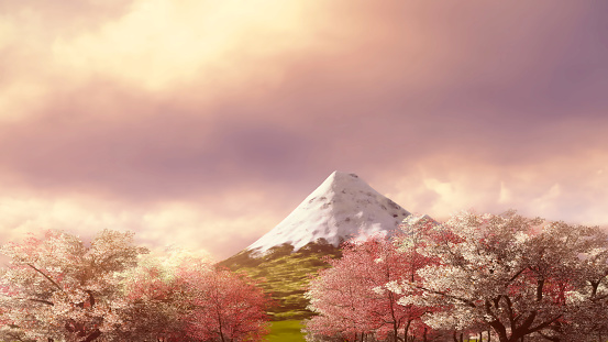 Spring scenery with lush flowering sakura cherry trees in full blossom and mountain Fuji against scenic sunset or sunrise cloudy sky background. Springtime 3D illustration from my 3D rendering.