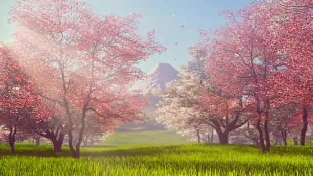istock Mount Fuji and sakura blossom spring landscape 1481011960