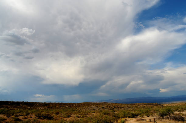 istock Storm Clouds Sonora Desert Foothills Arizona 1481012258