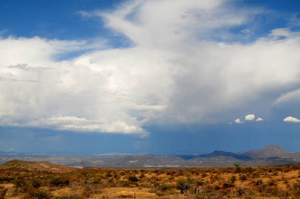 istock Storm Clouds Sonora Desert Foothills Arizona 1481012340