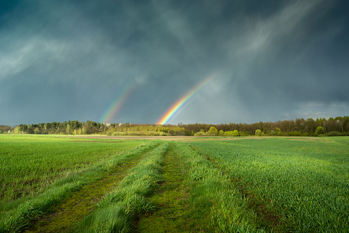 Double rainbow in the sky over green fields with a dirt road, Czulczyce, eastern Poland