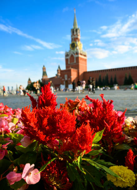 Flowers on Red Square in summer, Moscow, Russia. Famous Moscow Kremlin under blue sky in background. This place is tourist attraction of Moscow. Theme of travel, tourism, vacation.