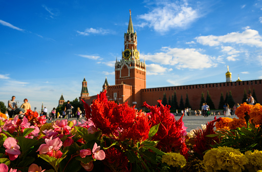 Flowers on Red Square in summer, Moscow, Russia. Famous Moscow Kremlin under blue sky in background. This place is tourist attraction of Moscow. Theme of travel, tourism, vacation.