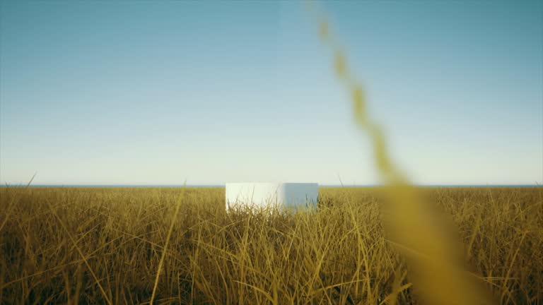 podium in feild sustainability