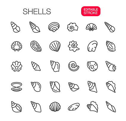 Shells thin line icons set. Editable Stroke. Vector illustration.