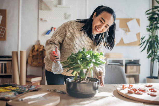 istock Woman watering plant in workshop 1481015581