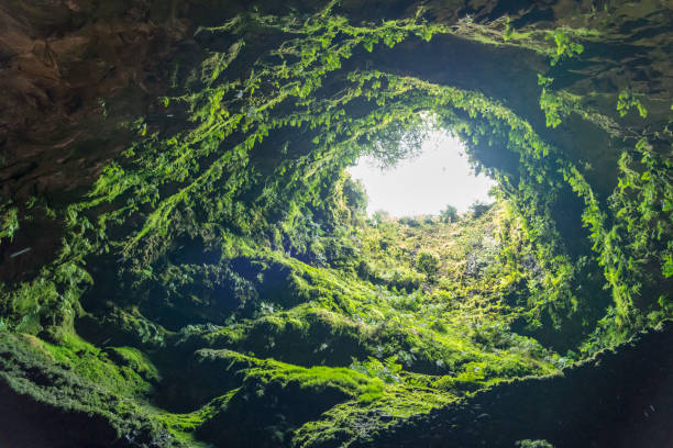 Algar do Carvao cave at Terceira island, Azores Low angle view to the cave opening, Algar do Carvao cave, volcanic tunnel, at Terceira island, Azores terceira azores stock pictures, royalty-free photos & images