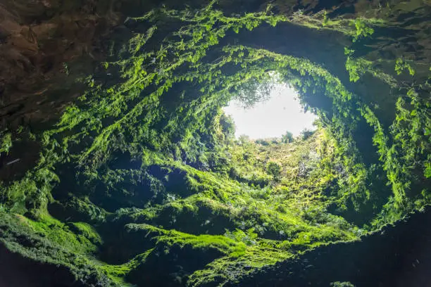 Low angle view to the cave opening, Algar do Carvao cave, volcanic tunnel, at Terceira island, Azores