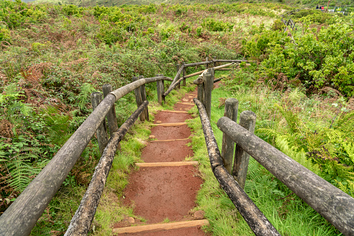 Sulphur fumaroles of Furnas do Enxofre, Terceira, Azores