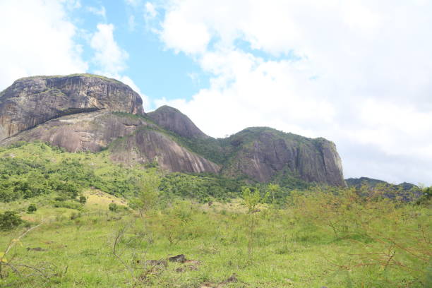 istock Alto Cariri National Park 1481018946