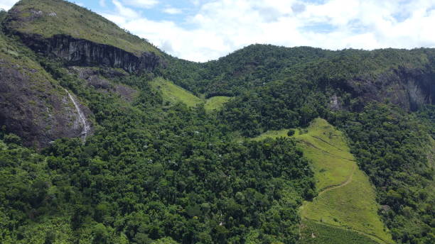 istock Alto Cariri National Park 1481018965