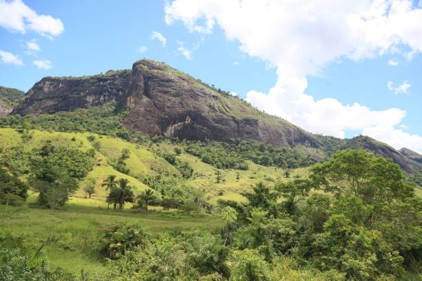 istock Alto Cariri National Park 1481018996