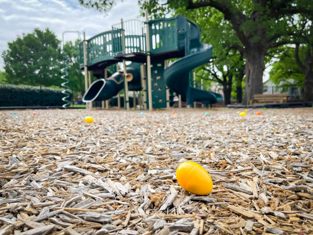 istock Close-up plastic egg with candy inside and blurry playground background for kids Easter egg hunt activity near Dallas, Texas, America 1481021934