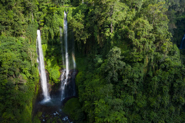 istock Sekumpul waterfall by drone in Bali Indonesia 1481022131
