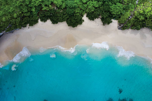 idilliaca spiaggia di sabbia bianca a bali indonesia - sand wave pattern beach wave foto e immagini stock