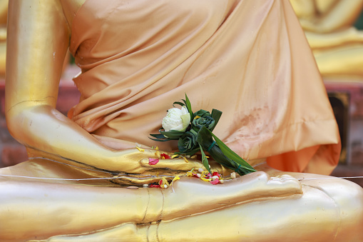Offerings lotus flower to the image of Buddha statue, Buddhists worship to buddha status