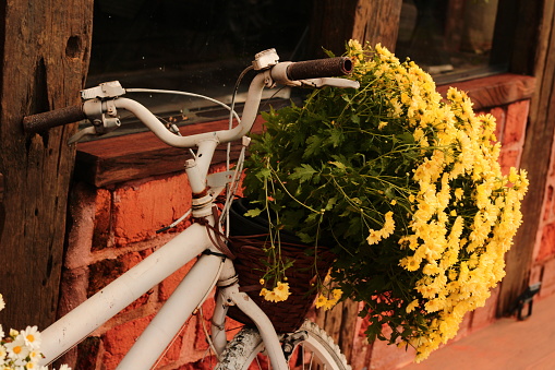 Yellow retro bicycle outdoor