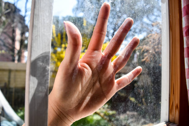 istock a woman's hand pressed against a windowpane. 1481028307