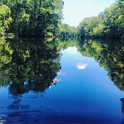 Reflection on the Apalachicola River in Florida