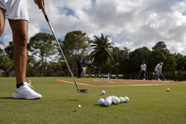 istock Golf lesson for beginners, balls and stick 1481030885
