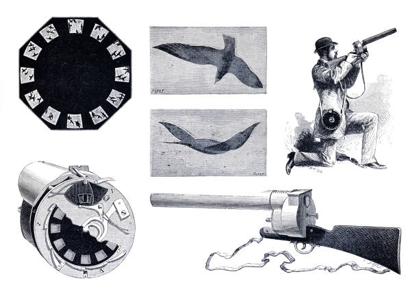 istock Fusil photography from Etienne-Jules Marey 1882 1481033132