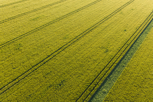 aerial view of the harvest fields in Poland