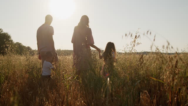 Young happy family of four walk in a golden field holding hands at sunset