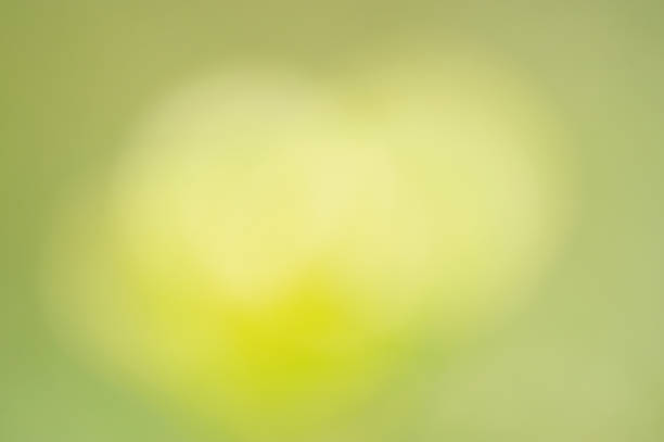 Bokeh natural green blurred leaves. Abstract green defocused background.