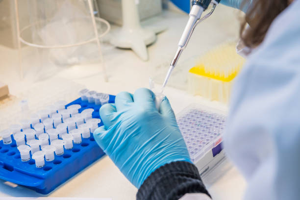 istock One hand holding  an eppendorf test tube with sample and a lab technician pipetting liquid into wells of a PCR plate in a laboratory. 1481046893
